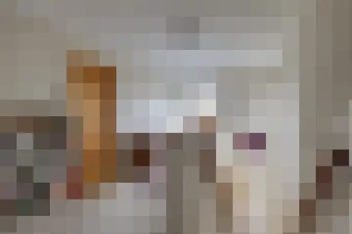 Kerkstraat 12 Didam thumbnail 50