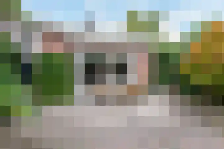 Kerkstraat 12 Didam thumbnail 66