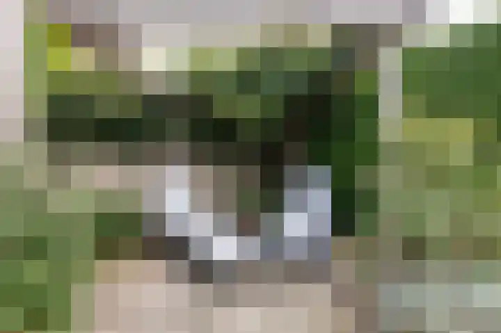 Kerkstraat 12 Didam thumbnail 71