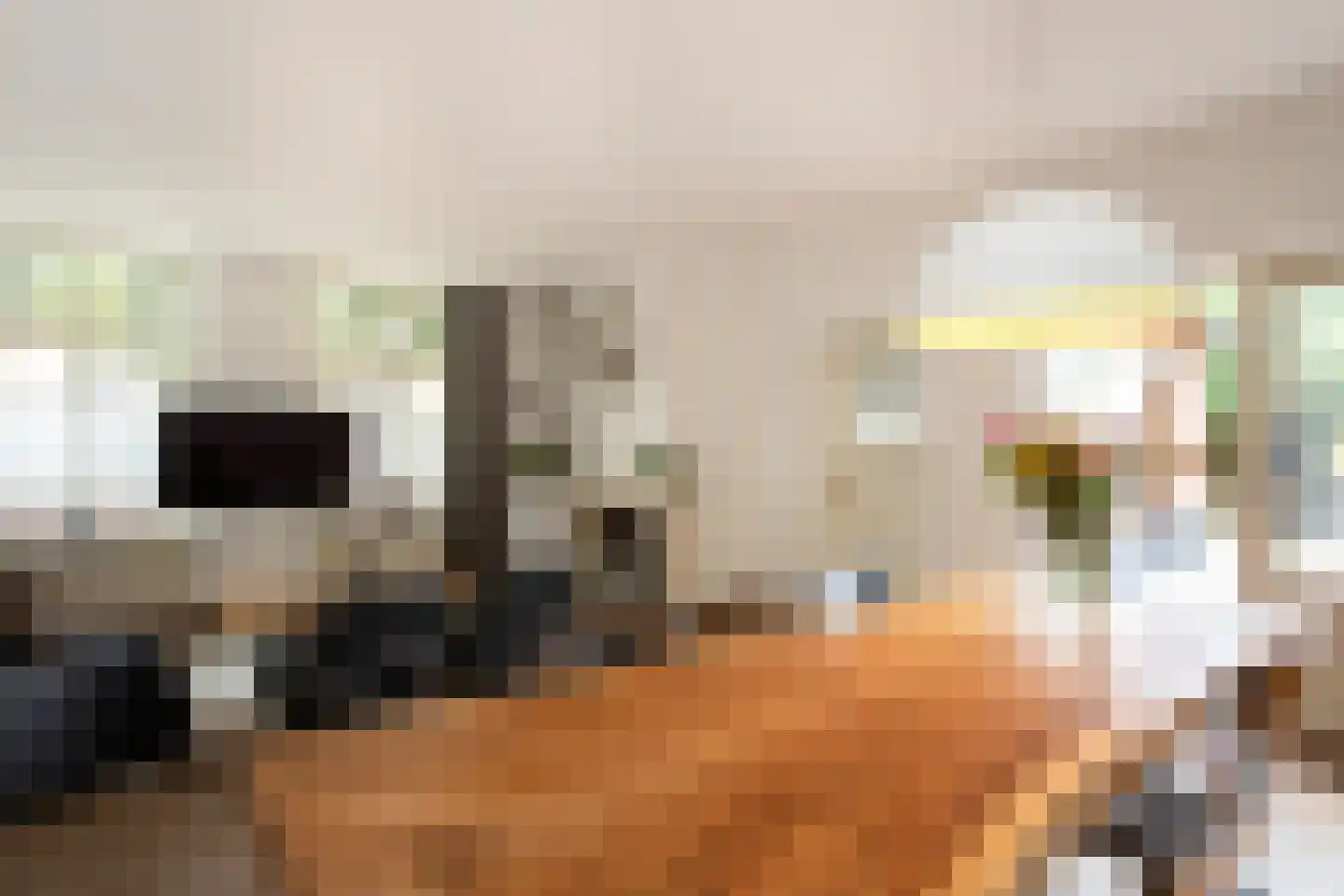 Kerkstraat 12 Diessen thumbnail 13