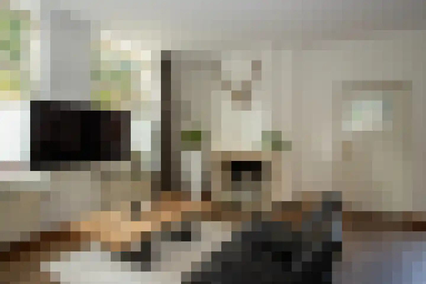 Kerkstraat 12 Diessen thumbnail 8