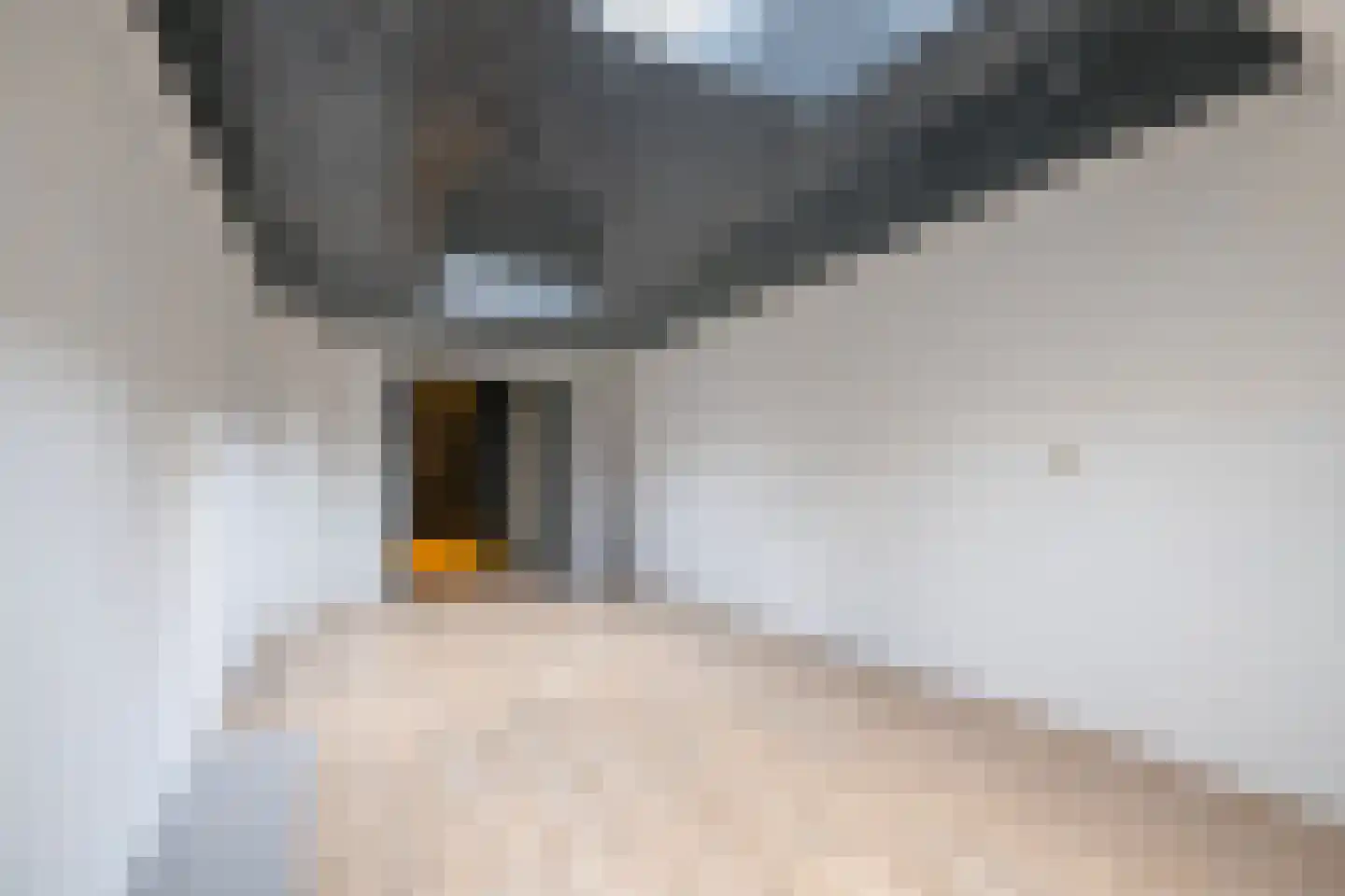 Kerkstraat 12 Landgraaf thumbnail 15