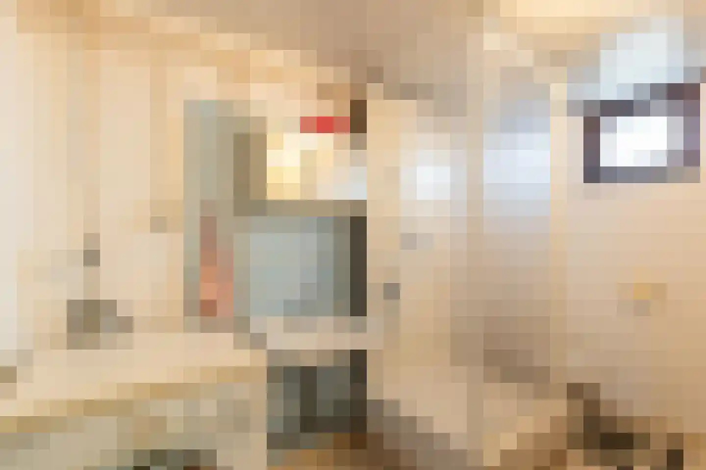 Kerkstraat 12 Merkelbeek thumbnail 43