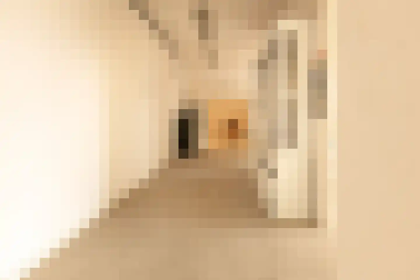 Kerkstraat 12 Merkelbeek thumbnail 64