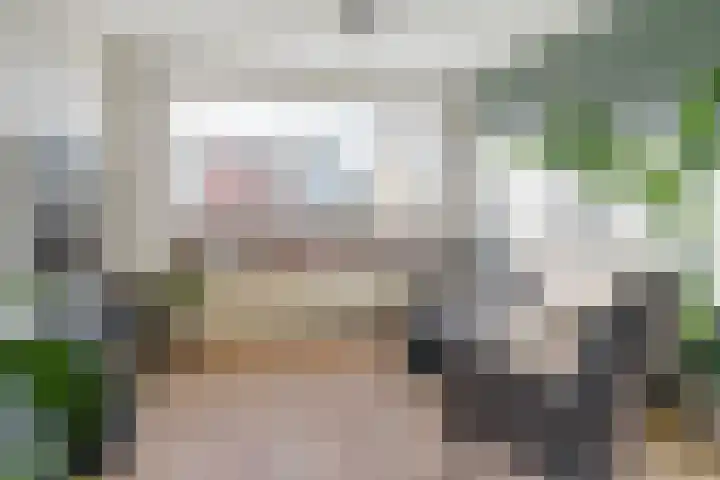 Kerkstraat 12 Munnekezijl thumbnail 8