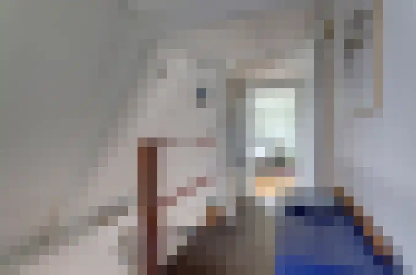 Kerkstraat 12 Pingjum thumbnail 17