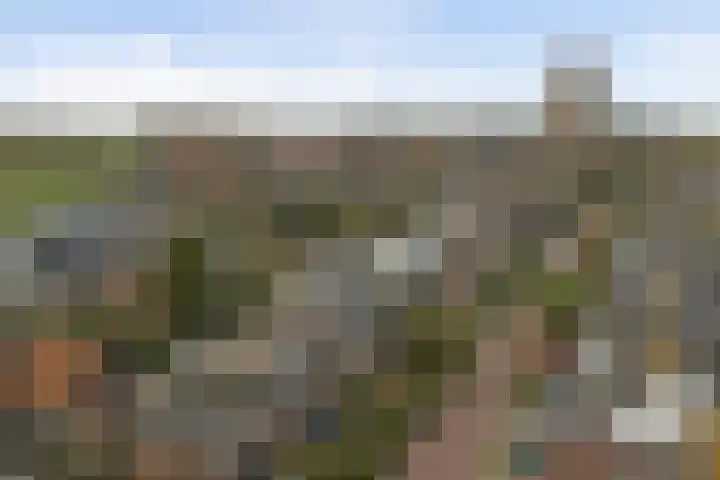 Kerkstraat 12 Pingjum thumbnail 34