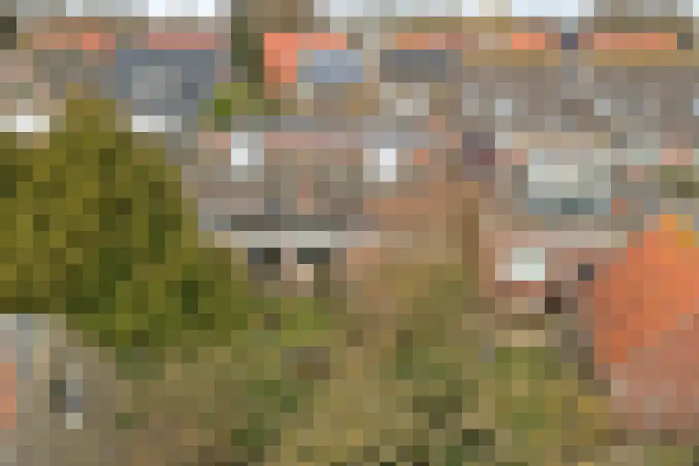Kerkstraat 12 Pingjum thumbnail 35