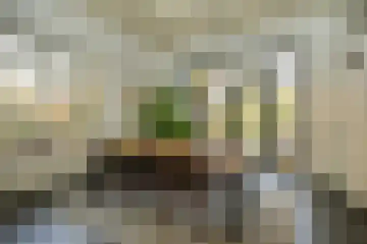 Kerkstraat 12 Rossum thumbnail 13