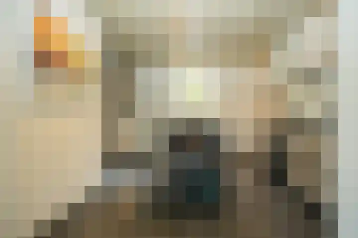 Kerkstraat 12 Rossum thumbnail 14