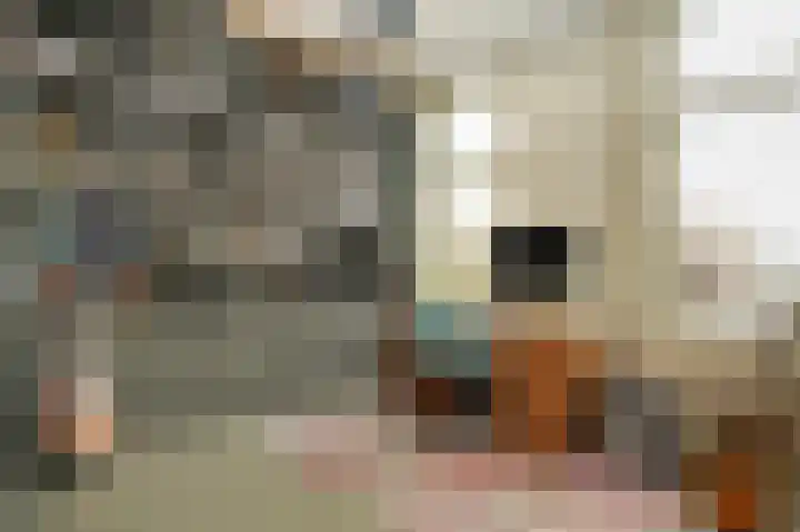 Kerkstraat 12 Rossum thumbnail 18