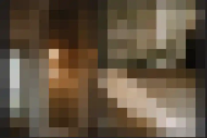 Kerkstraat 12 Rossum thumbnail 31