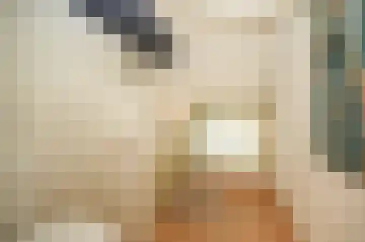 Kerkstraat 12 Rossum thumbnail 34