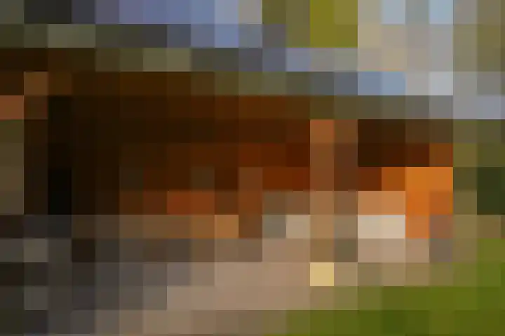 Kerkstraat 12 Rossum thumbnail 42