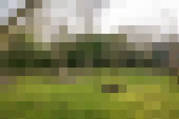 Kerkstraat 12 Rossum thumbnail 44