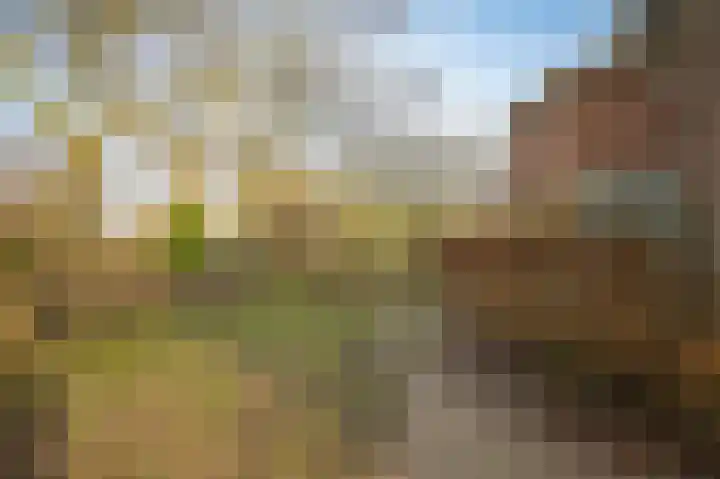 Kerkstraat 12 Rossum thumbnail 51