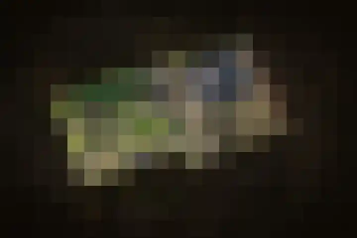 Kerkstraat 12 Rossum thumbnail 60