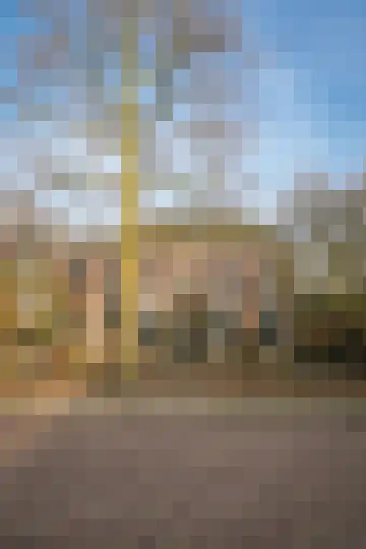 Kerkstraat 12 Rossum thumbnail 64