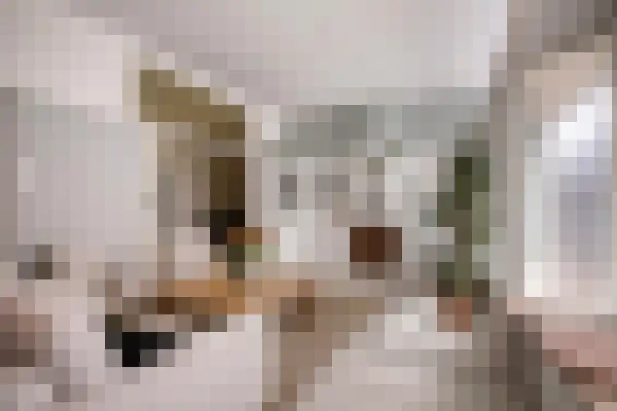 Kerkstraat 12 Utrecht thumbnail 6