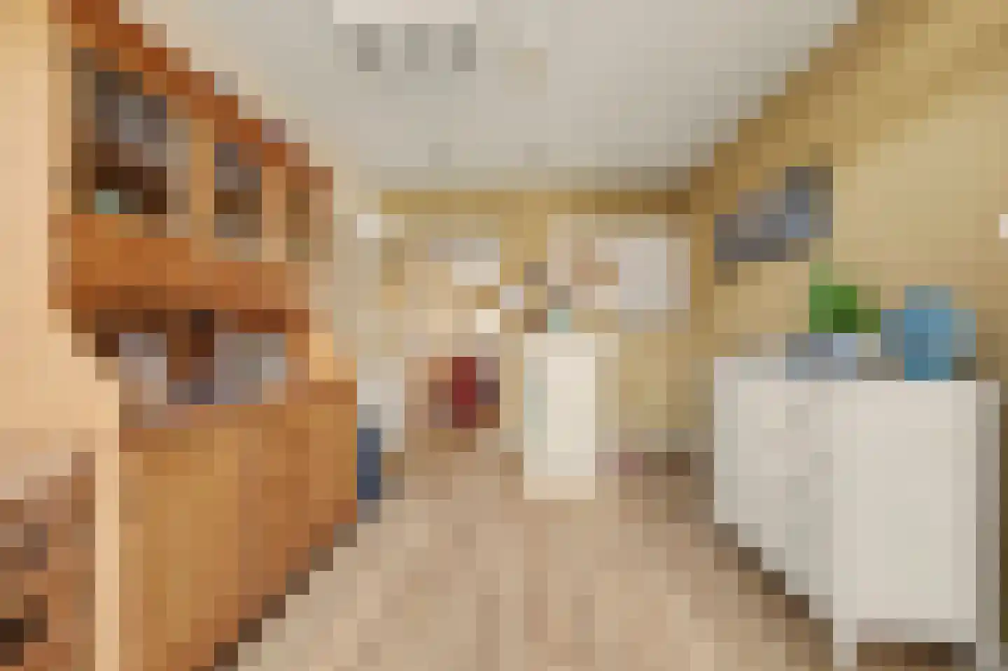 Kerkstraat 12 Wissenkerke thumbnail 11