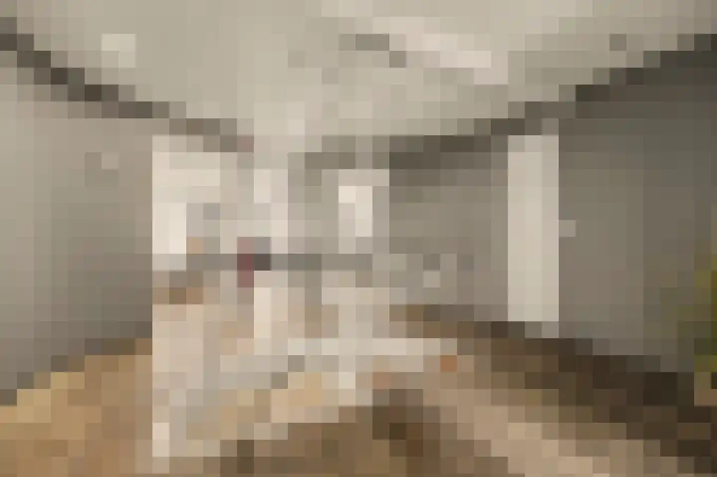 Kerkstraat 12 Wissenkerke thumbnail 15