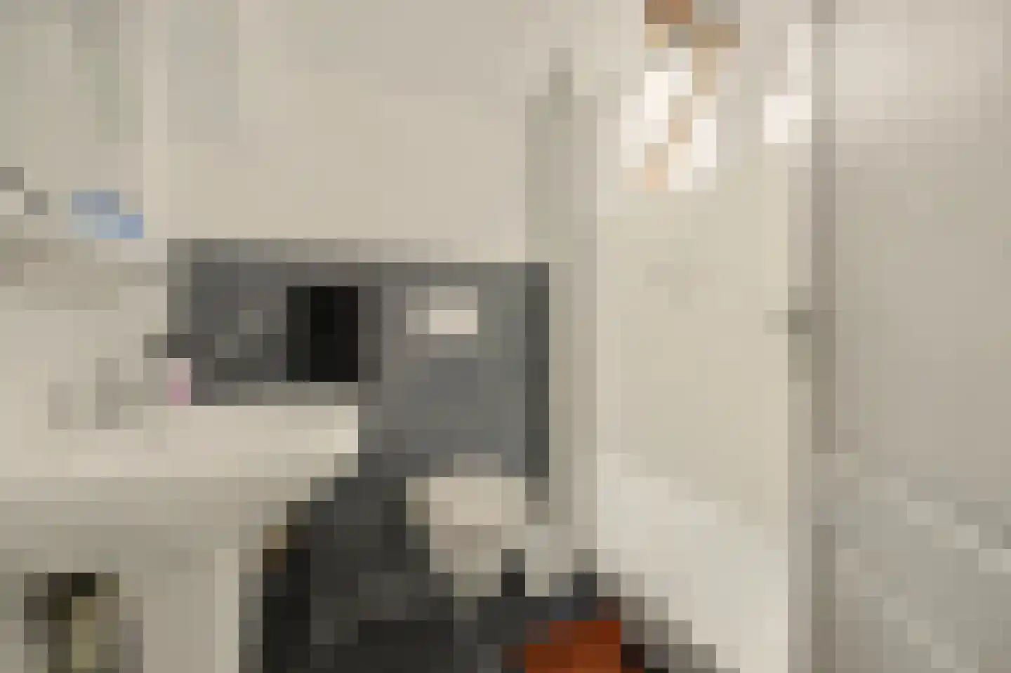 Kerkstraat 12 Wissenkerke thumbnail 21