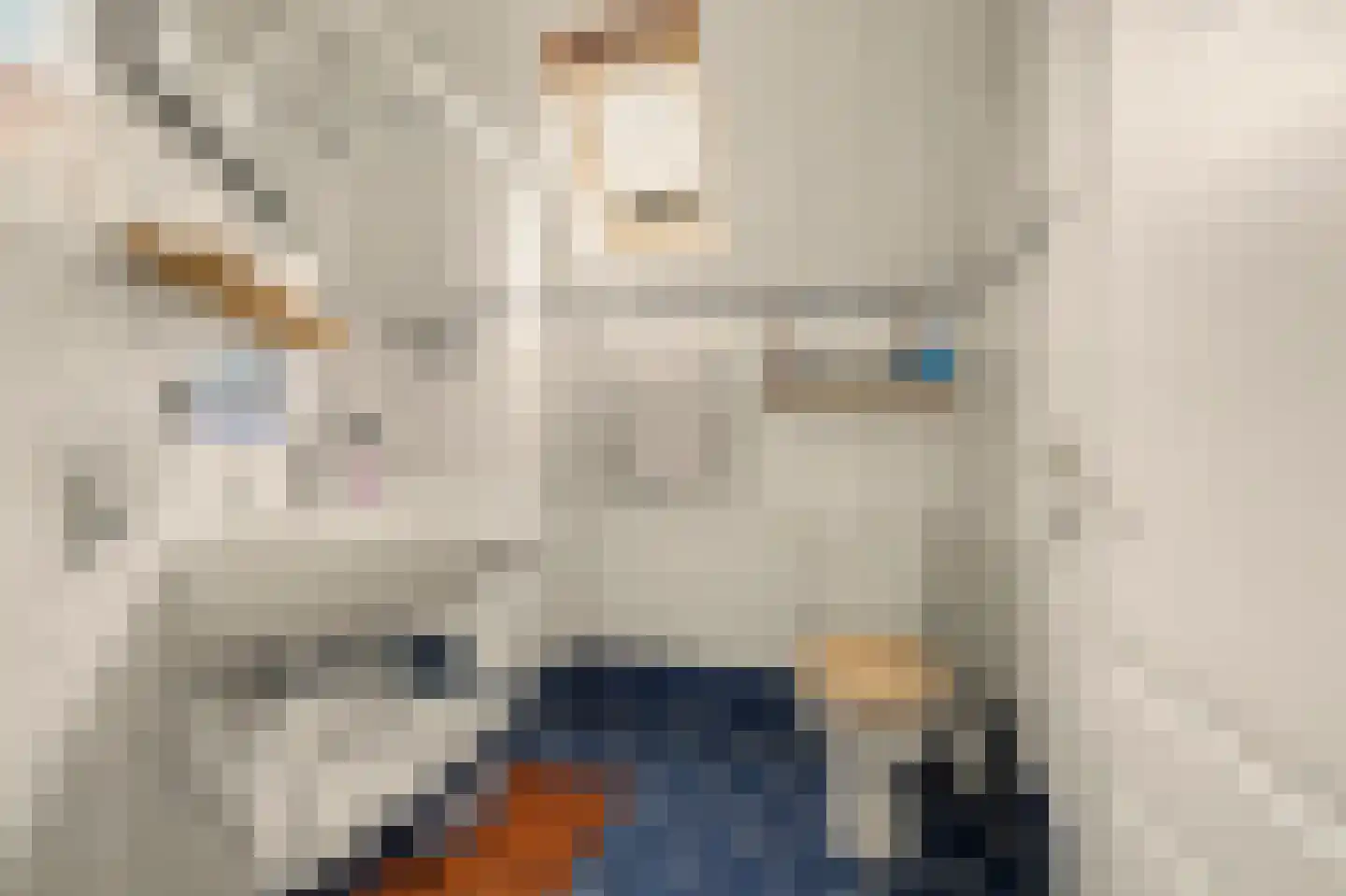 Kerkstraat 12 Wissenkerke thumbnail 23