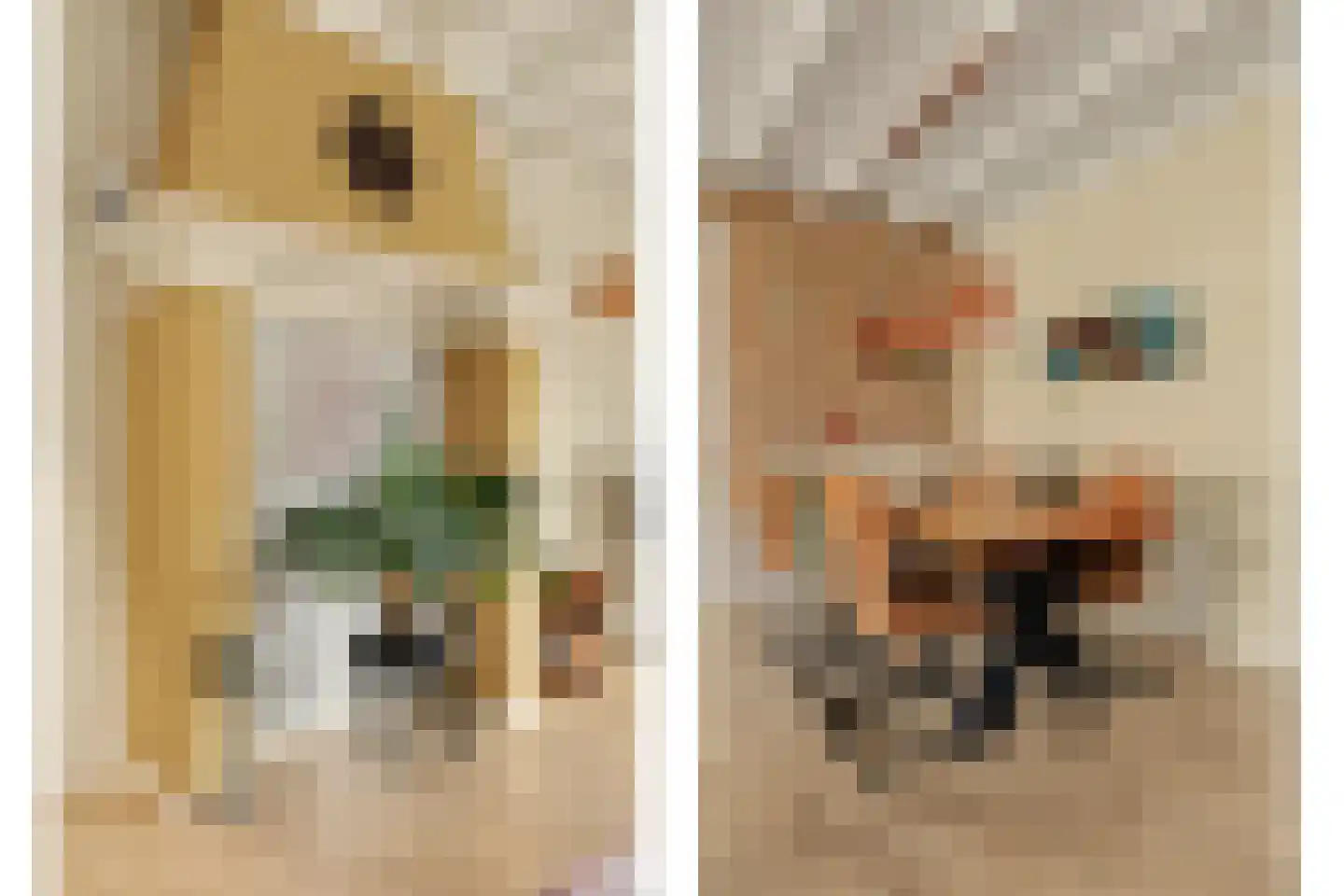 Kerkstraat 12 Wissenkerke thumbnail 29