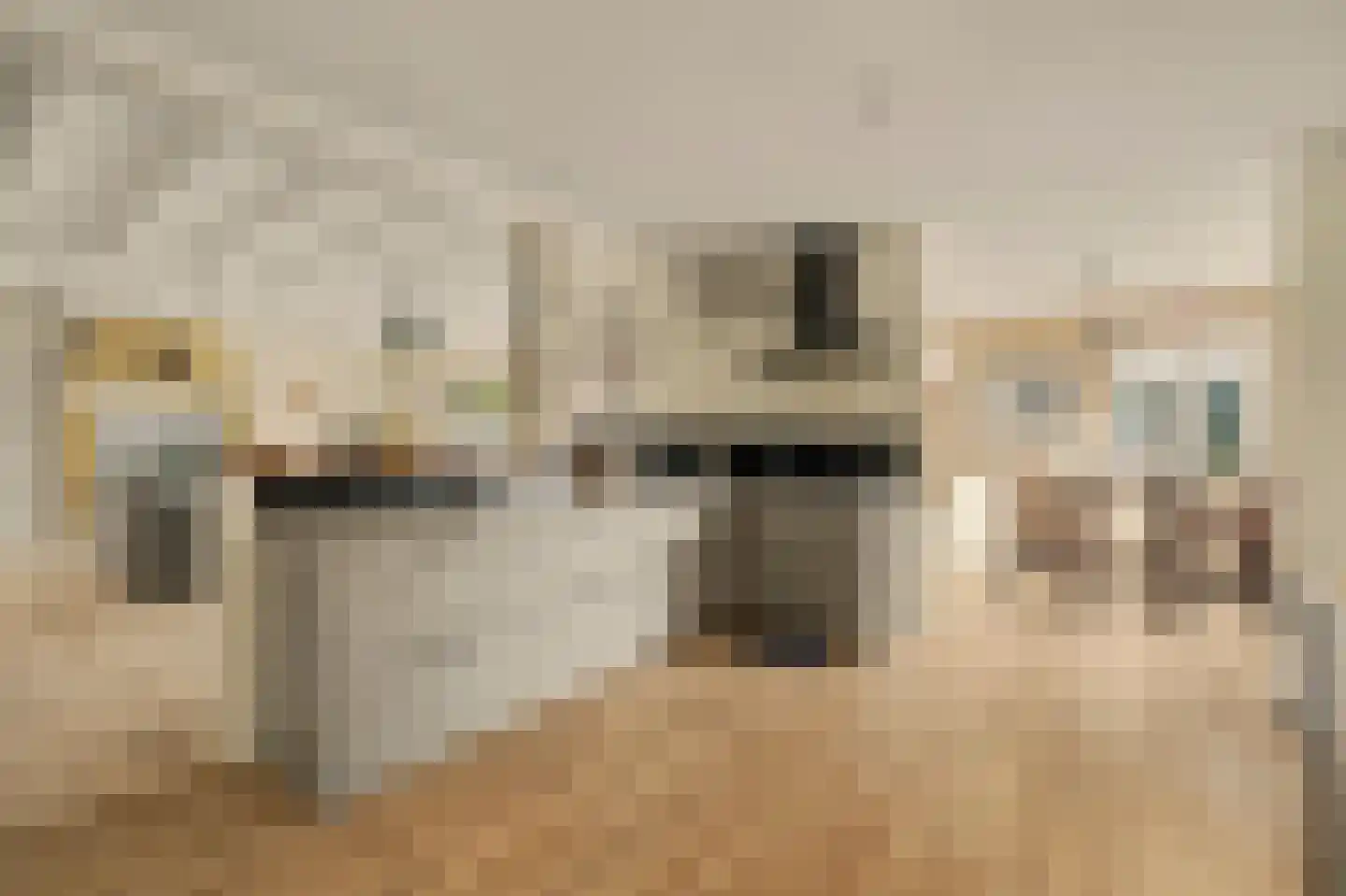 Kerkstraat 12 Wissenkerke thumbnail 30