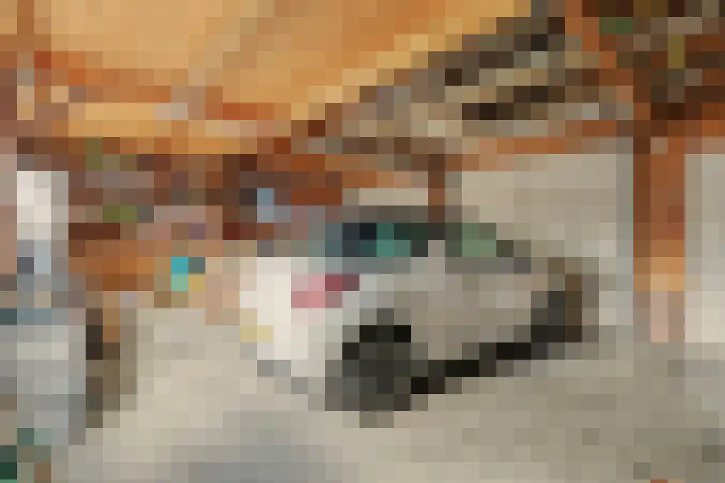 Kerkstraat 12 Wissenkerke thumbnail 42