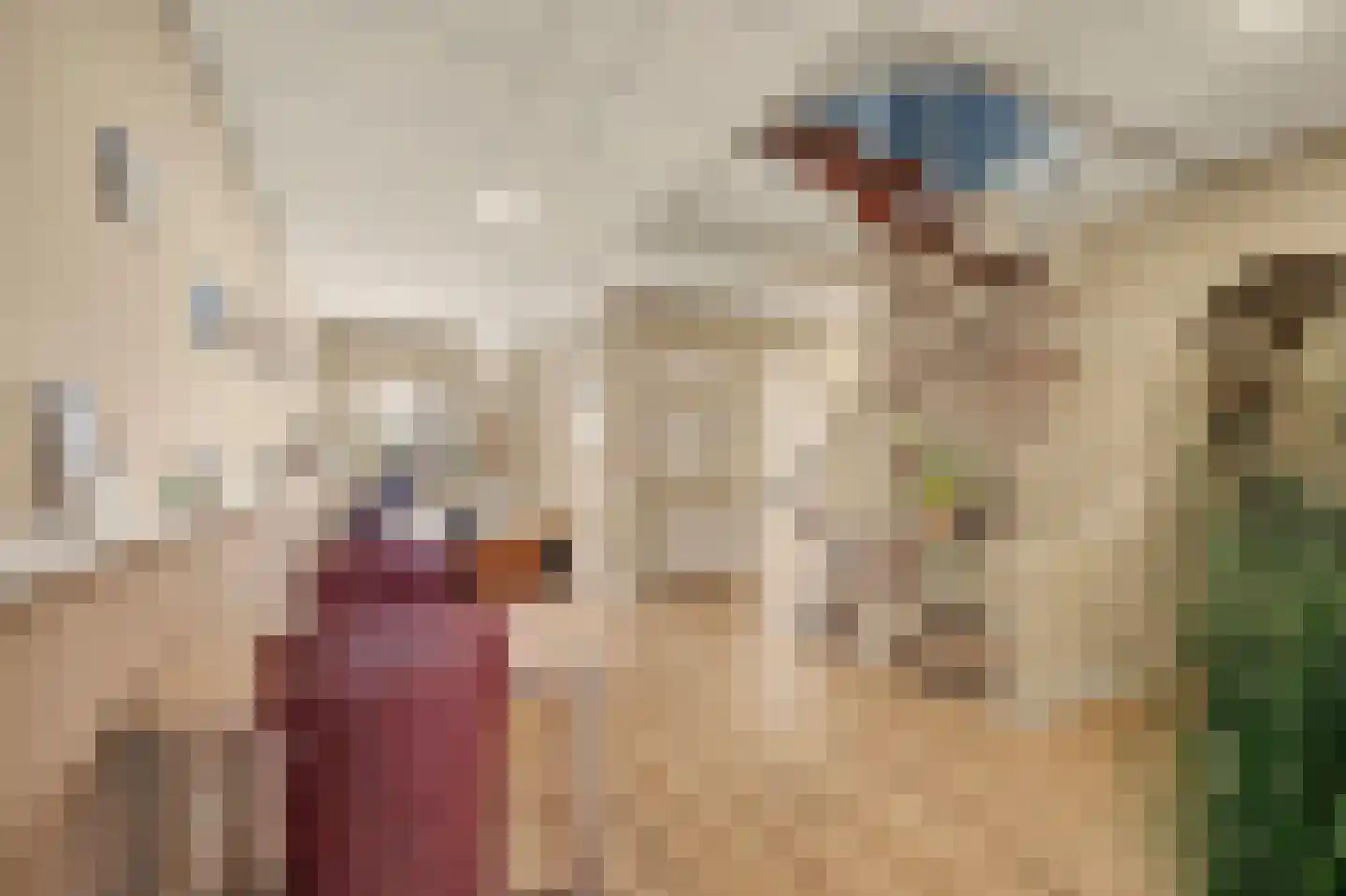 Kerkstraat 12 Wissenkerke thumbnail 7