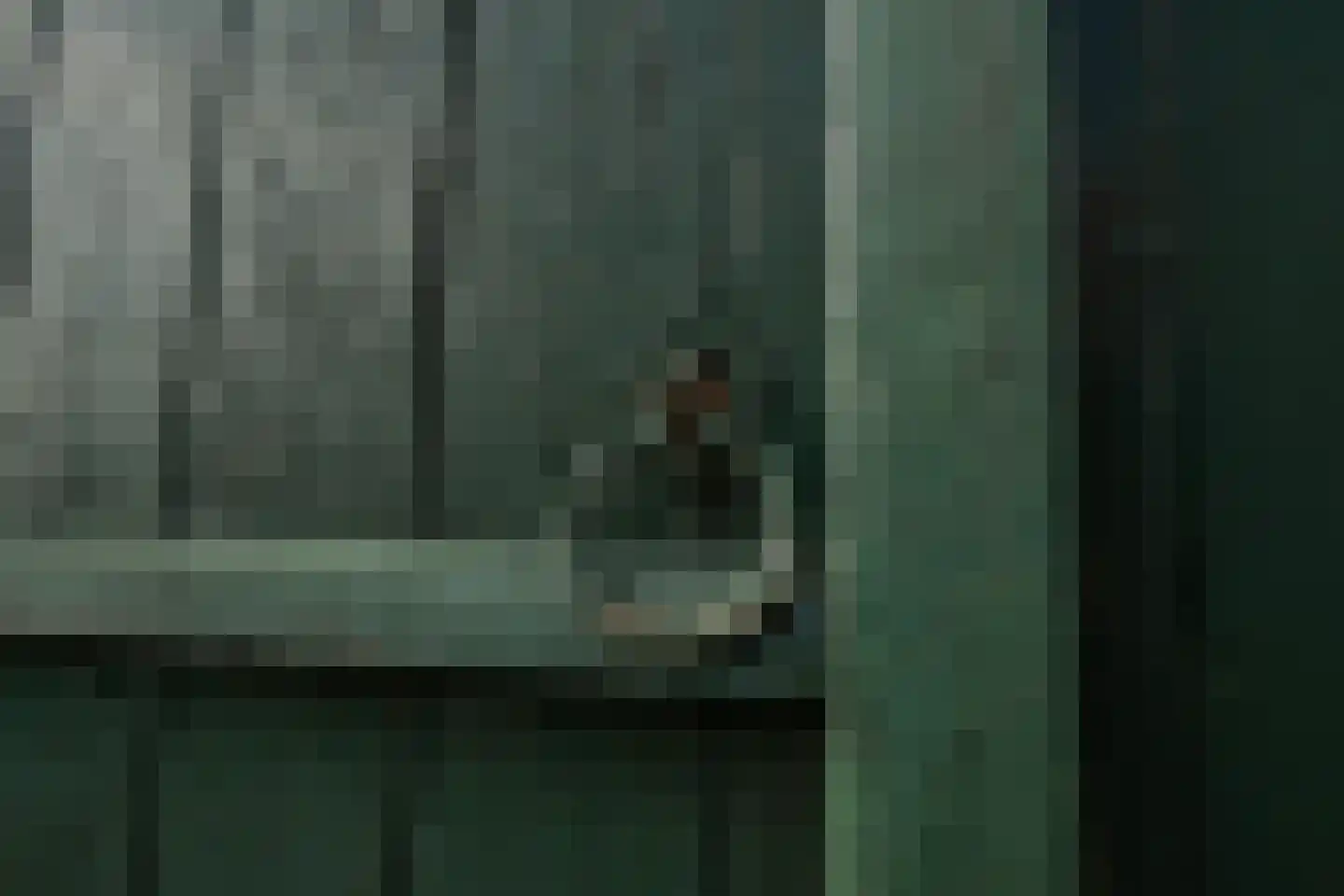 Kerkstraat 12 Zoelen thumbnail 24