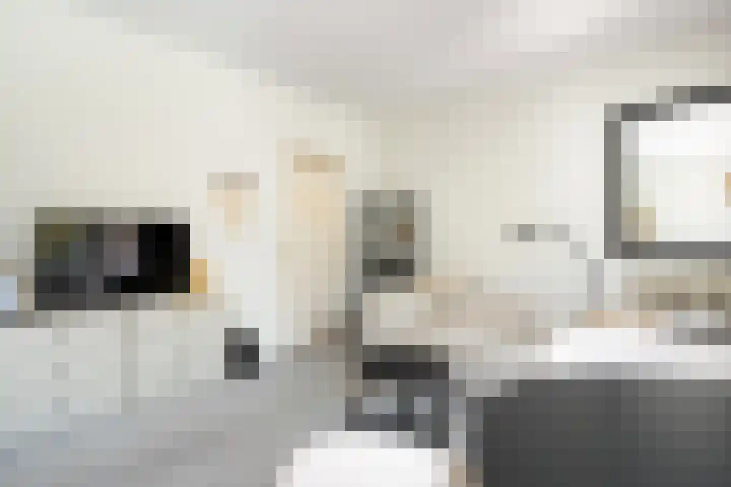 Kerkstraat 12 Zwolle thumbnail 18