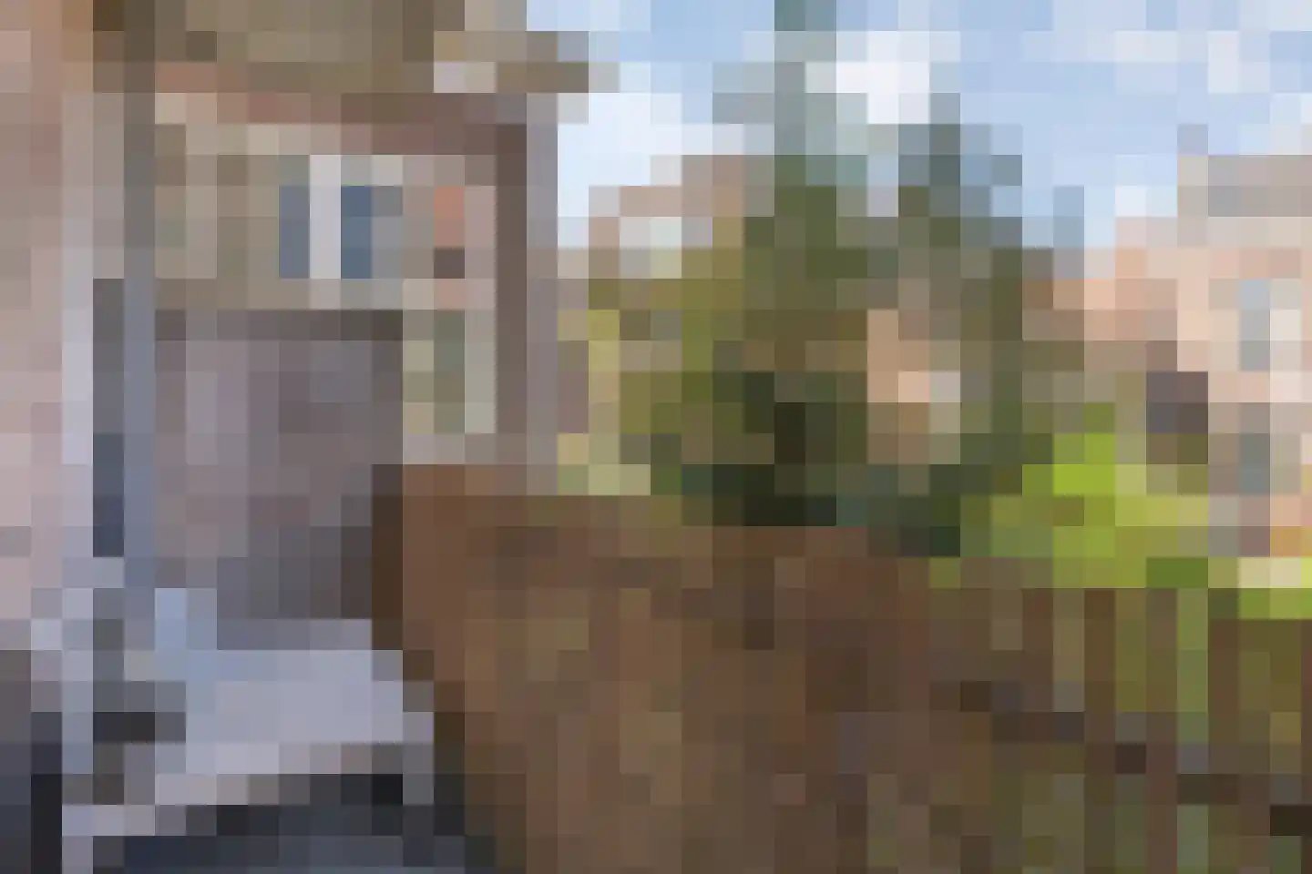 Kerkstraat 12 Zwolle thumbnail 21