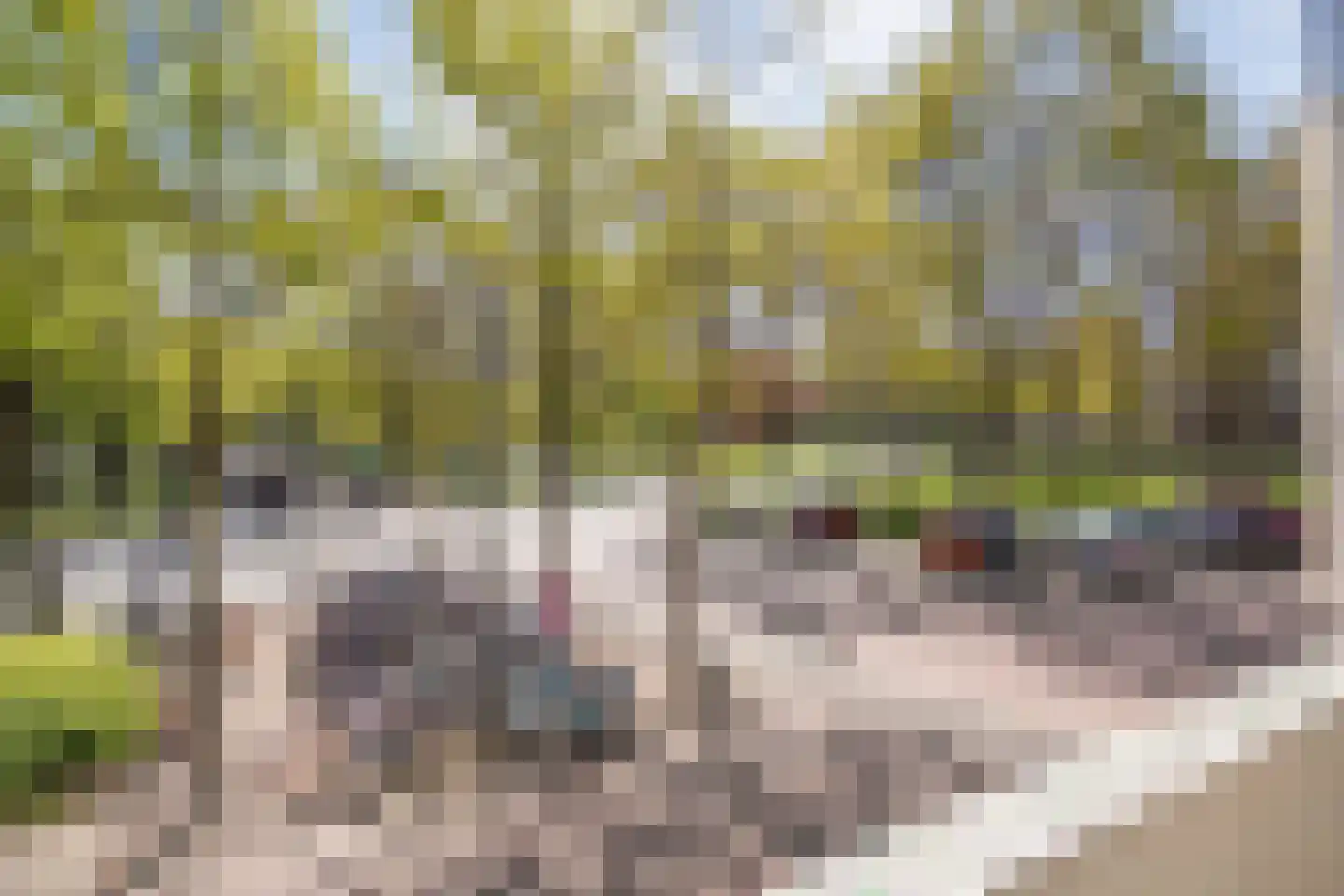 Kerkstraat 12 Zwolle thumbnail 33