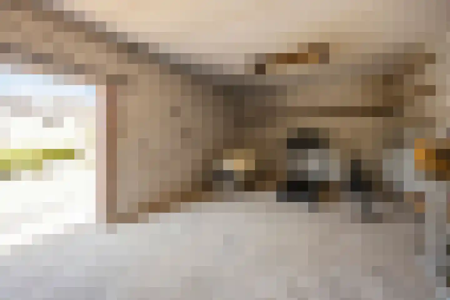 Kerkstraat 120 Koningsbosch thumbnail 58