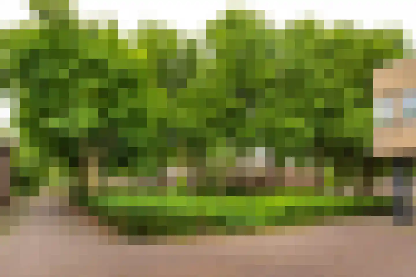Kerkstraat 121 Beverwijk thumbnail 32