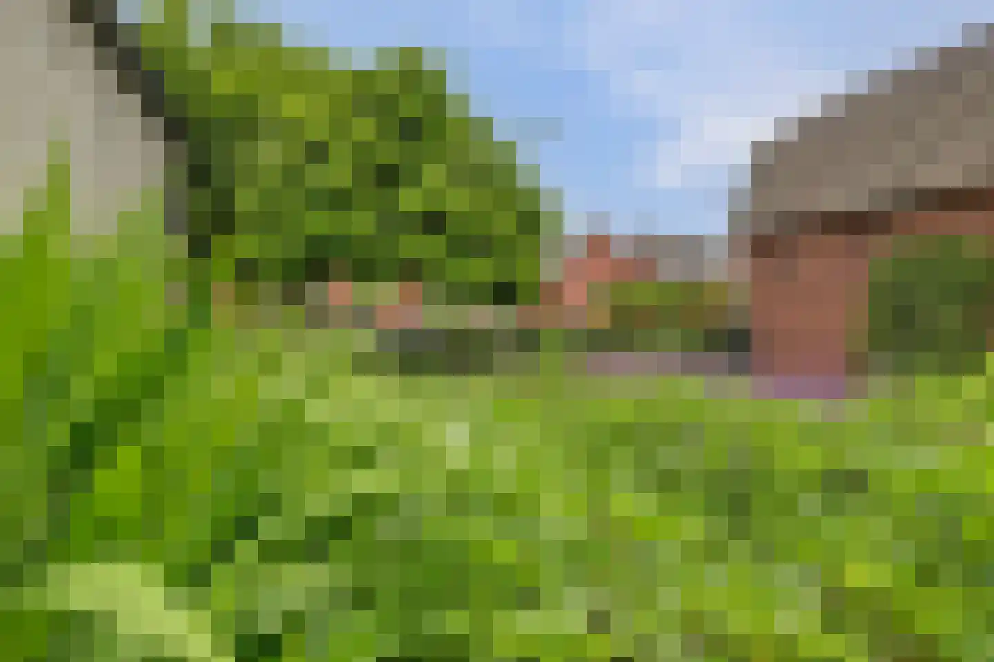 Kerkstraat 121 Kerkdriel thumbnail 56