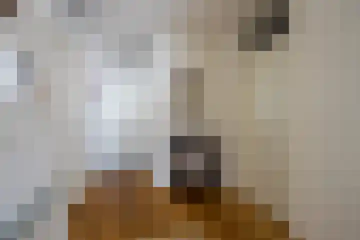 Kerkstraat 122 Tegelen thumbnail 21