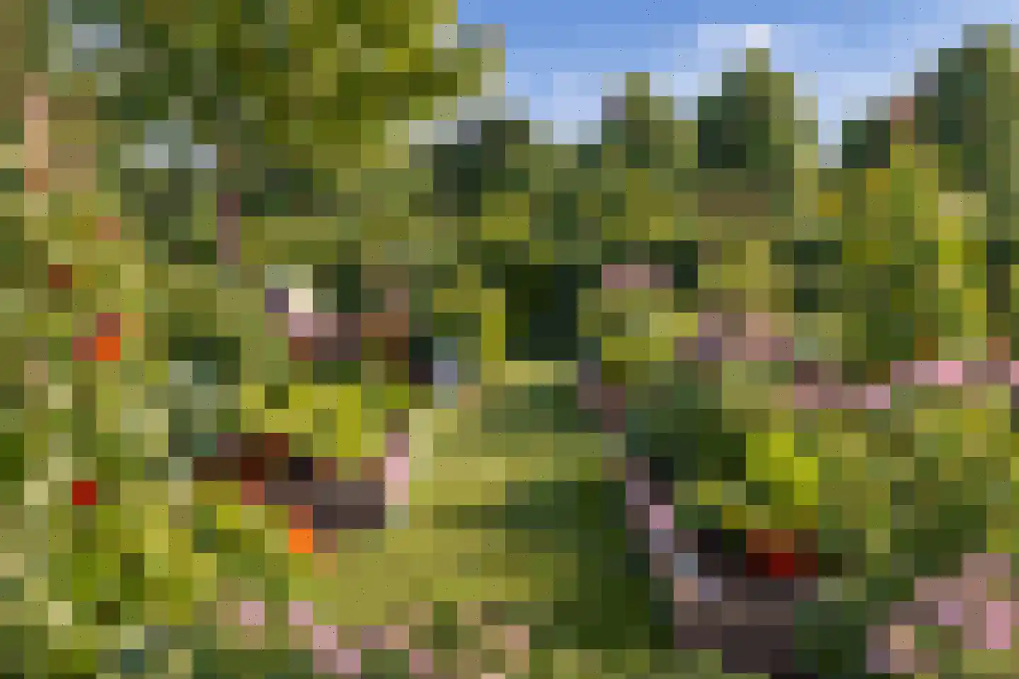 Kerkstraat 123 tuin Goor thumbnail 6