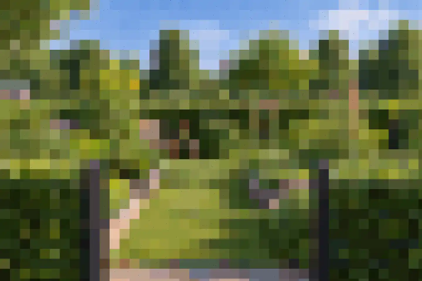 Kerkstraat 123 tuin Goor thumbnail 8