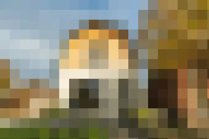 Kerkstraat 126 Hengelo thumbnail 42