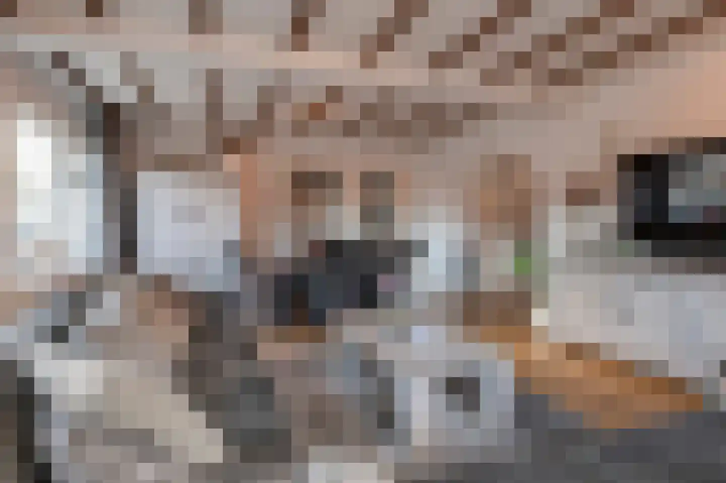 Kerkstraat 13 a Alphen thumbnail 10