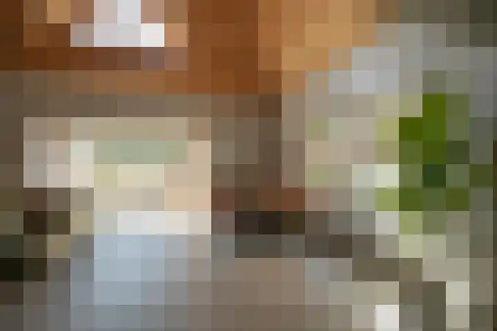 Kerkstraat 13 a Kedichem thumbnail 11