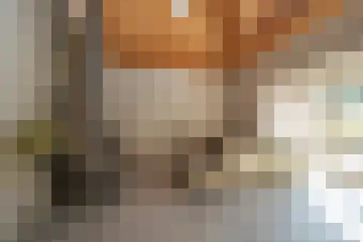 Kerkstraat 13 a Kedichem thumbnail 13