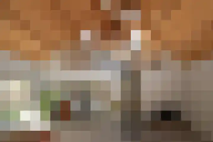 Kerkstraat 13 a Kedichem thumbnail 17