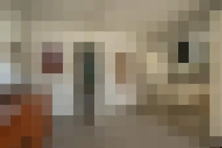Kerkstraat 13 a Kedichem thumbnail 19