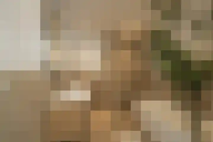 Kerkstraat 13 a Kedichem thumbnail 25