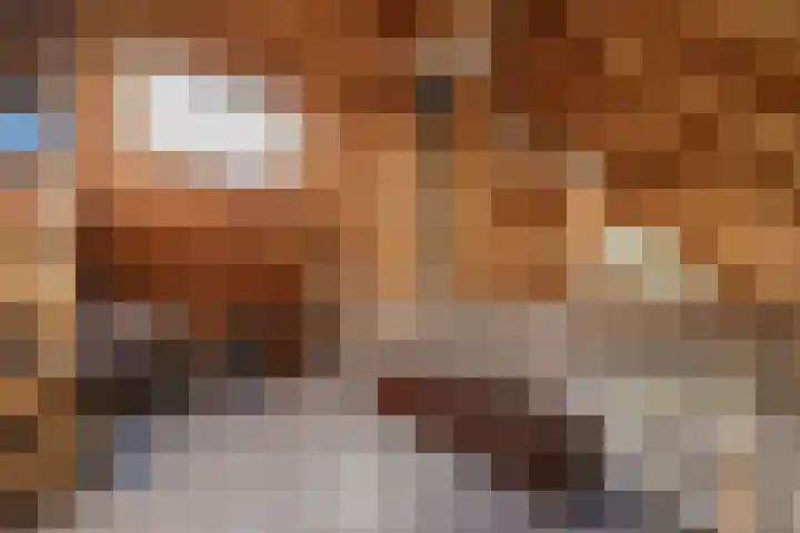 Kerkstraat 13 a Kedichem thumbnail 31