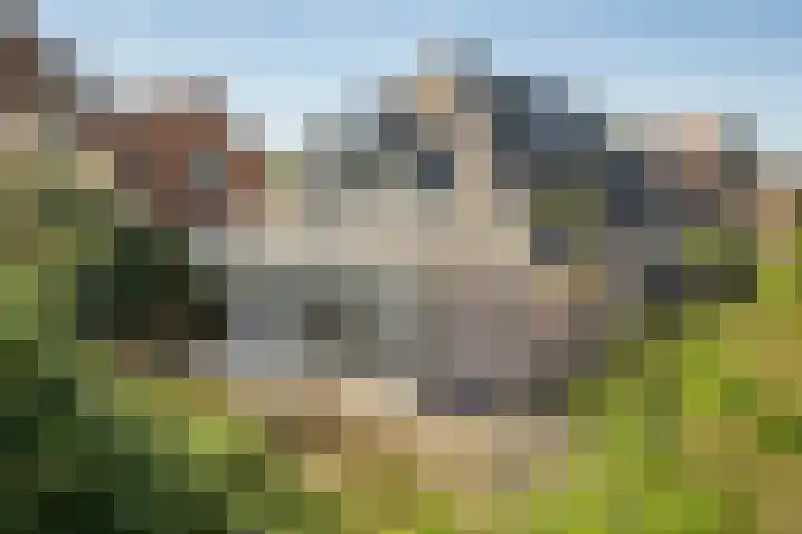 Kerkstraat 13 a Kedichem thumbnail 4